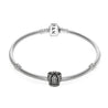 
Pandora Crown Charm #790930 bracelet